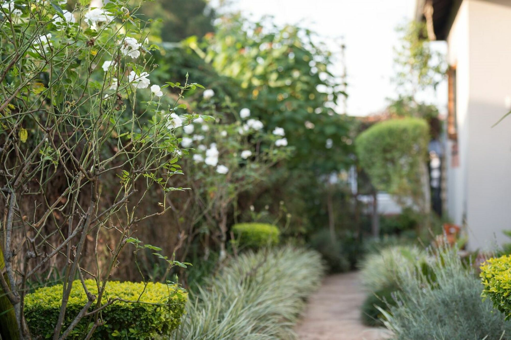 Jean-Lee Bed And Breakfast Pietermaritzburg Esterno foto