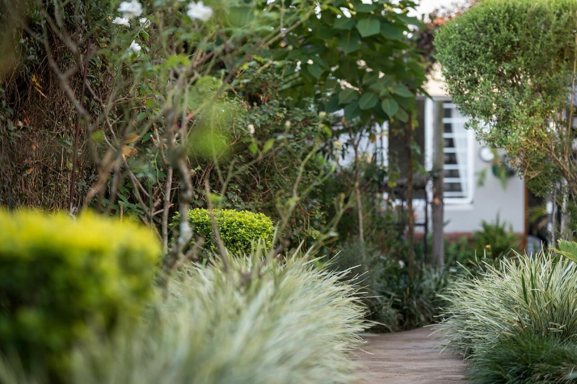 Jean-Lee Bed And Breakfast Pietermaritzburg Esterno foto