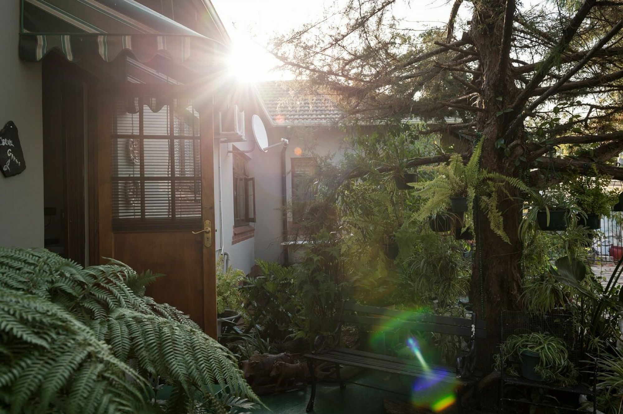 Jean-Lee Bed And Breakfast Pietermaritzburg Esterno foto